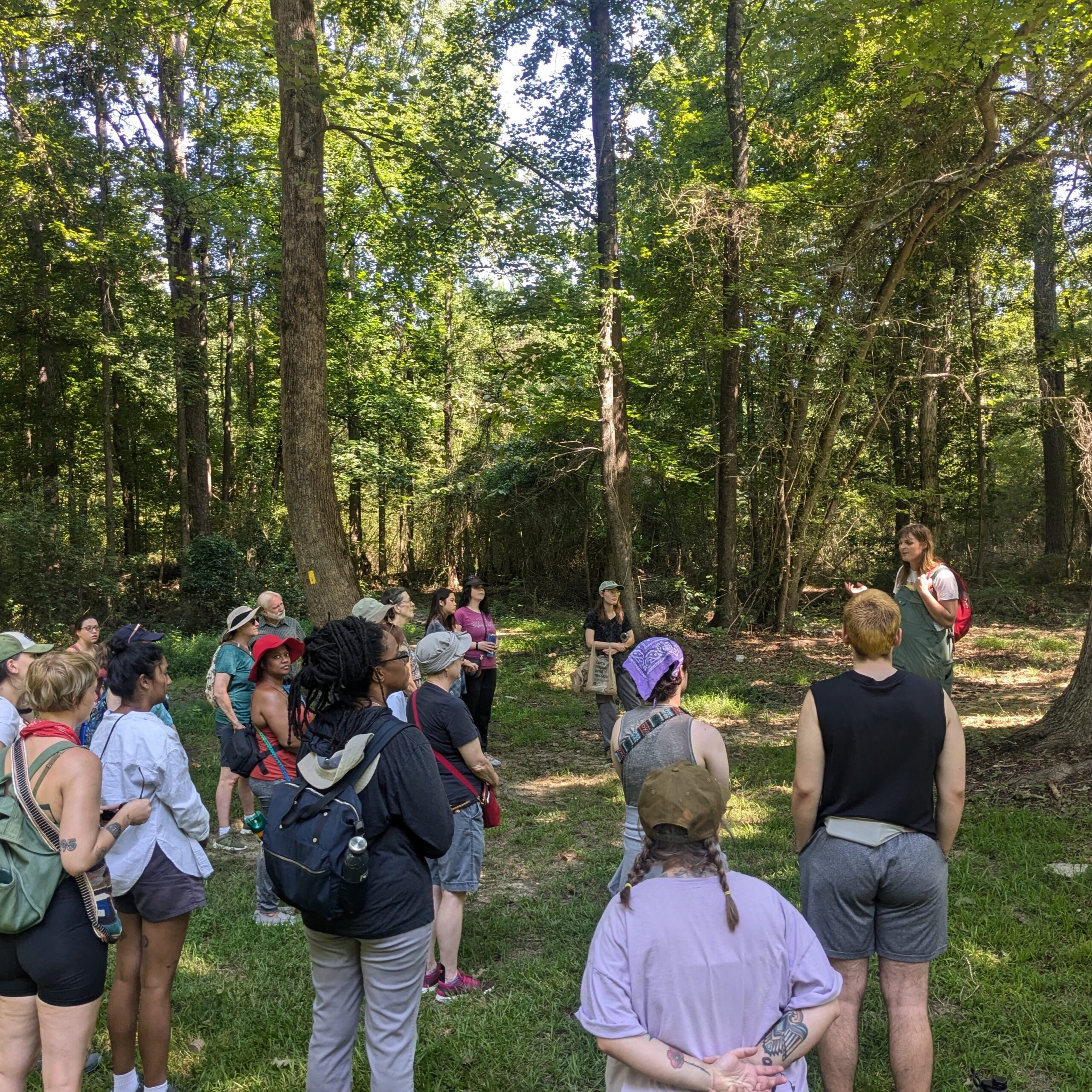 CST: Summer Foraging – Science for Georgia