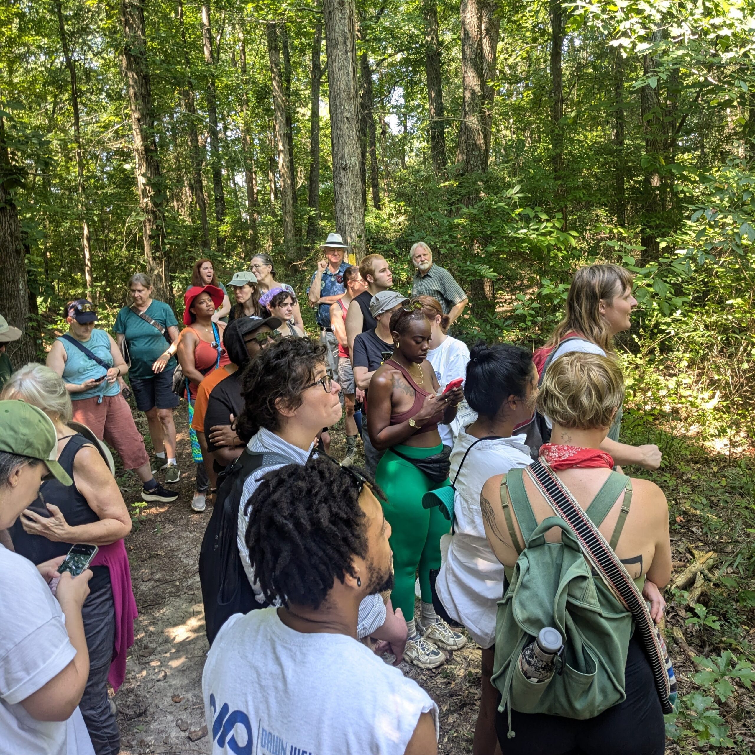 CST: Summer Foraging – Science for Georgia